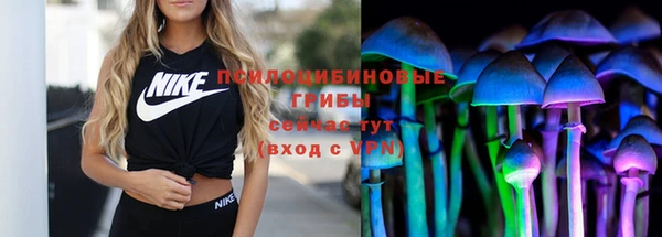 кокаин Белокуриха
