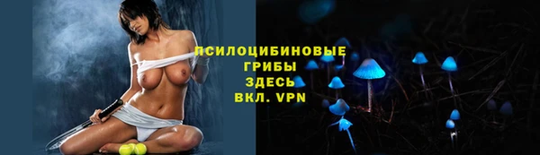 кокаин Белокуриха