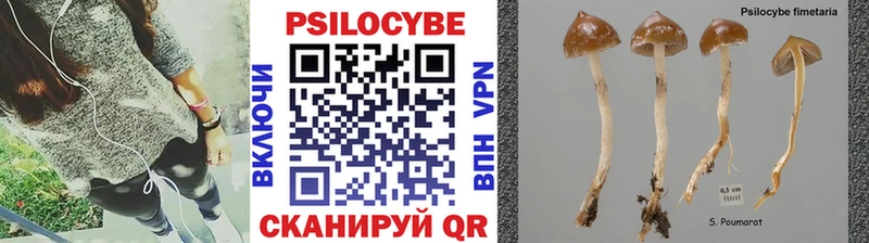 блэк спрут рабочий сайт  Новая Ладога  Галлюциногенные грибы GOLDEN TEACHER 